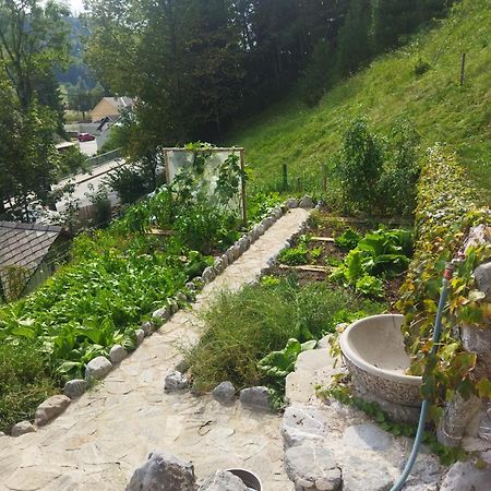 Natur Apartma Rudi Begunje na Gorenjskem Exterior photo