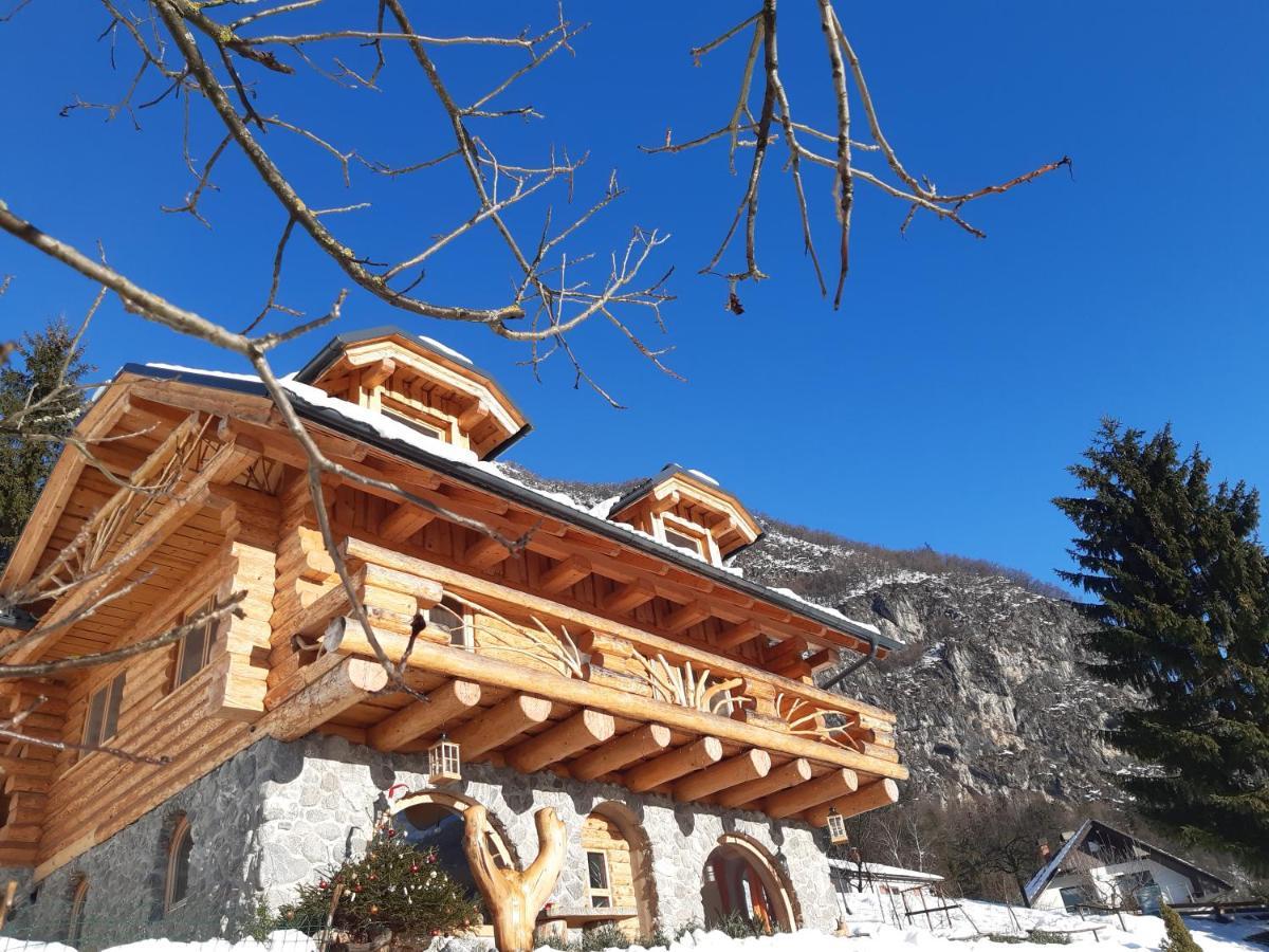 Natur Apartma Rudi Begunje na Gorenjskem Exterior photo