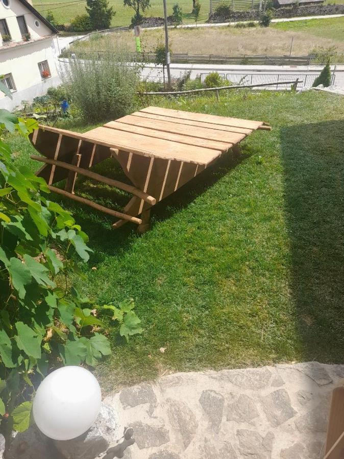 Natur Apartma Rudi Begunje na Gorenjskem Exterior photo