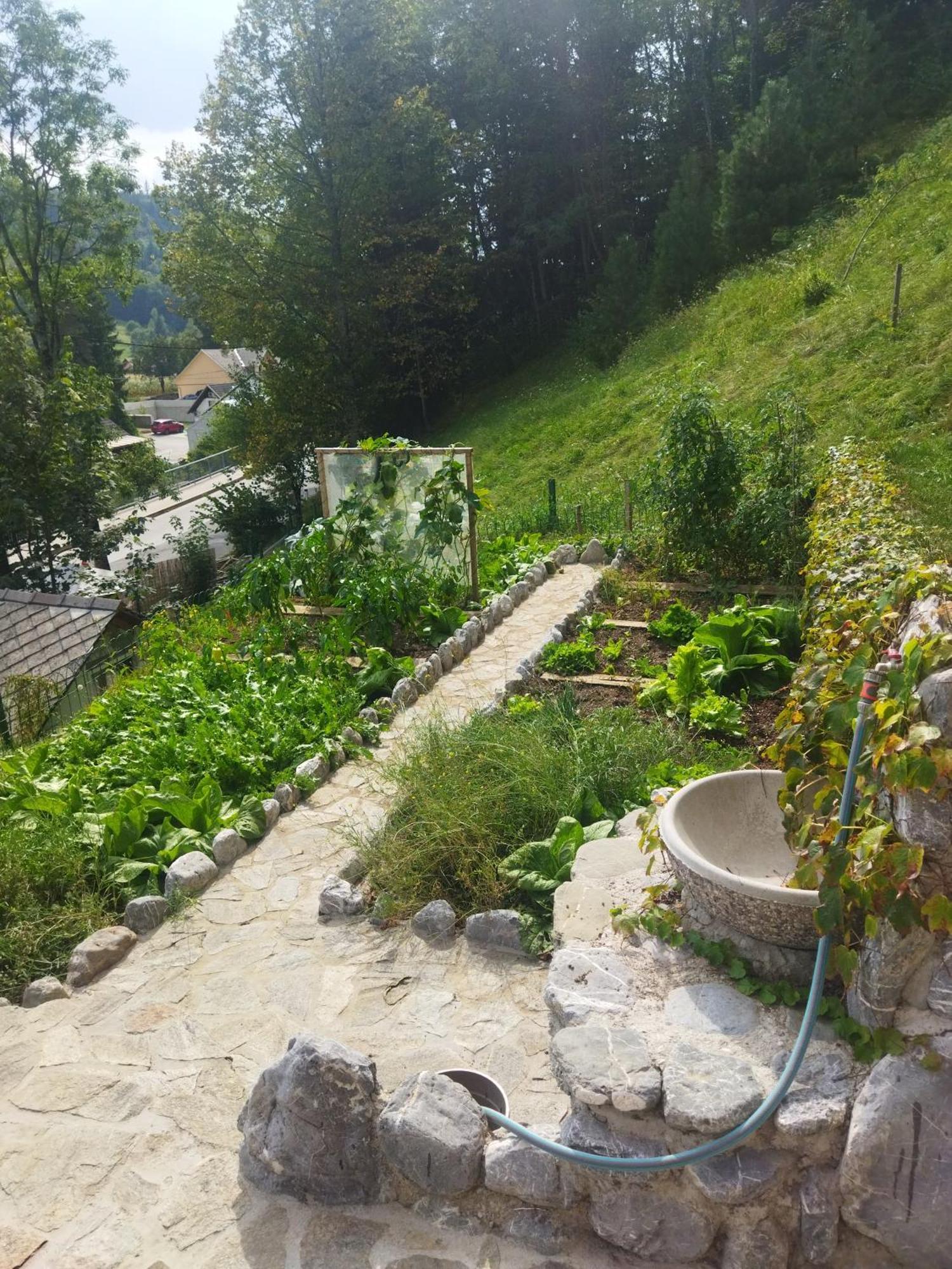 Natur Apartma Rudi Begunje na Gorenjskem Exterior photo
